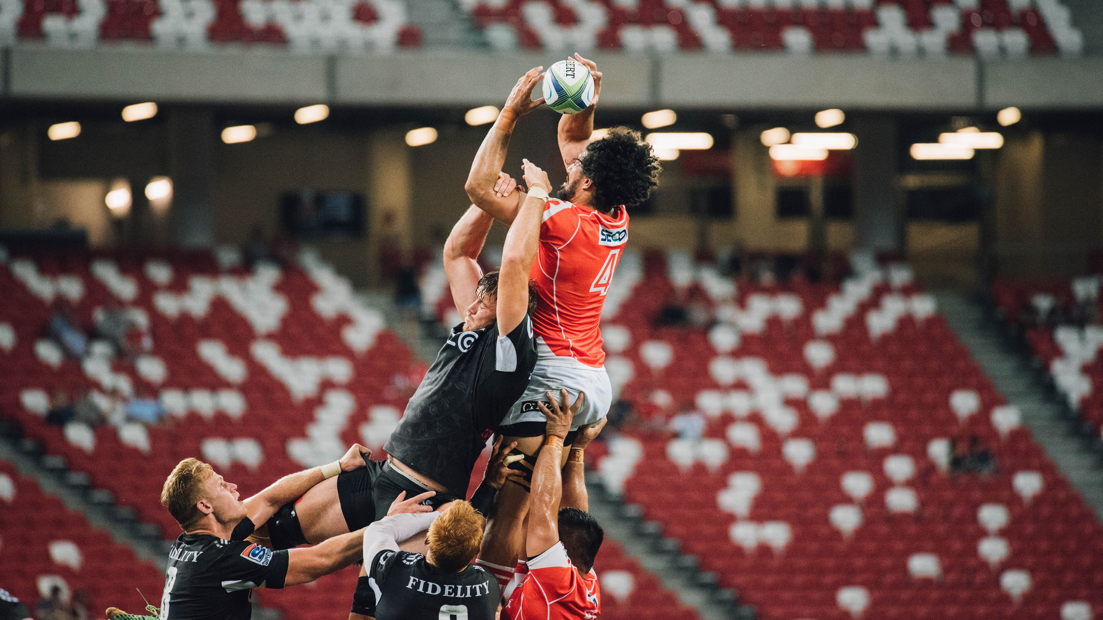 网球赛场焦点！荷兰队对阵葡萄牙队，连胜纪录继续刷新，球队势不可挡