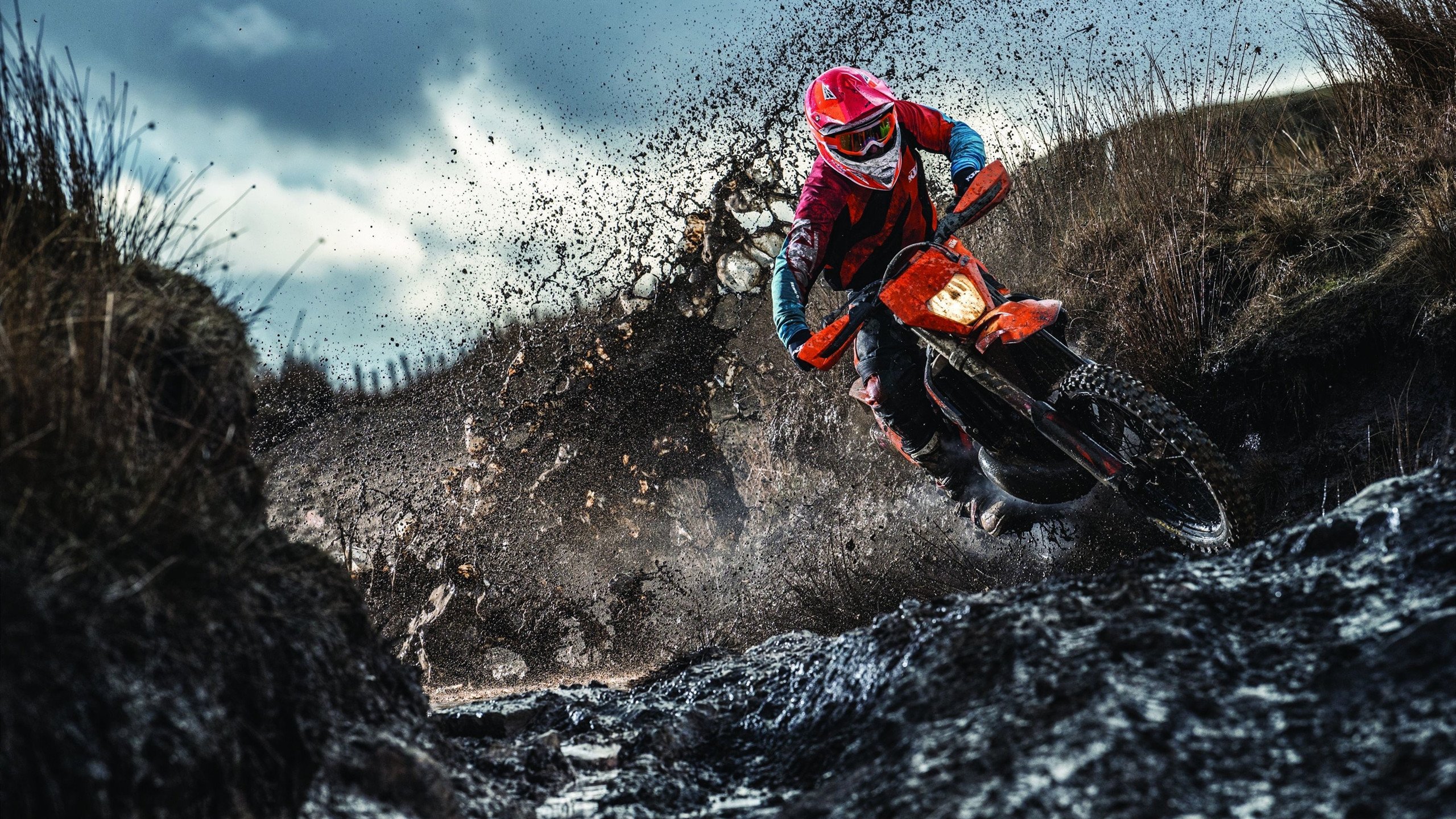 爱德华兹手感滚烫，带领明尼苏达森林狼大胜波士顿凯尔特人，赛后一句话霸气侧漏